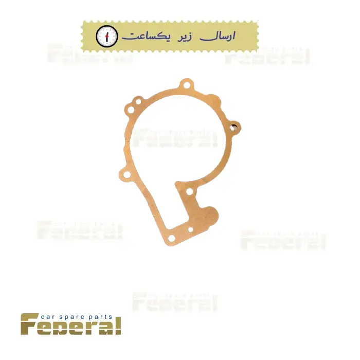 واترپمپ ام وی ام X33